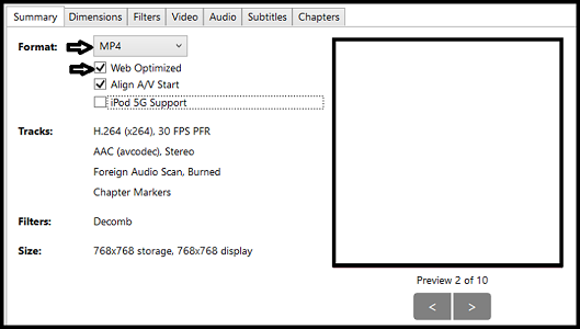 Web optimizing the video